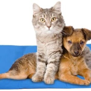 Self Cooling Gel Pet Dog Cat Cool Mat Pad Bed Mattress Heat Relief Non-Toxic 30 x 40cm Blue